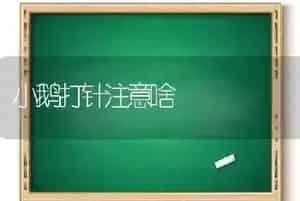 小鹅打针注意啥