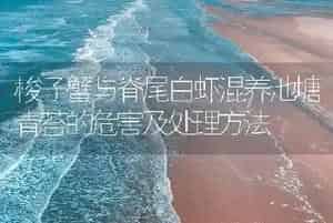梭子蟹与脊尾白虾混养池塘青苔的危害及处理方法
