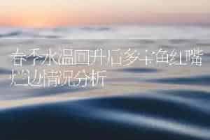 春季水温回升后多宝鱼红嘴烂边情况分析