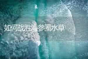 如何战胜海参圈水草