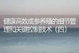 健康高效成参养殖的细节管理和关键控制技术(四)