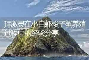 拜激灵在小白虾梭子蟹养殖过程中的经验分享