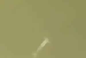 六七月份梅雨季节如何预防小白虾、青蟹的发病?