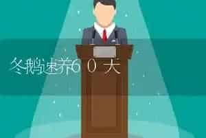 冬鹅速养60天
