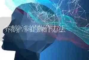 养鹅控料的操作方法