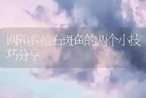 网箱养殖石斑鱼的两个小技巧分享