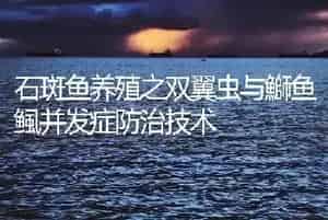 石斑鱼养殖之双翼虫与鰤鱼鲺并发症防治技术