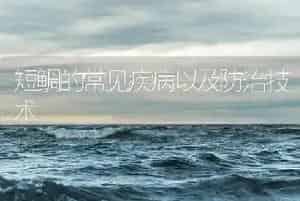 短鲷的常见疾病以及防治技术
