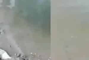 脊尾白虾纤毛虫病及体表挂脏的处理方法