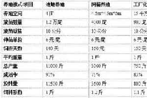 石斑鱼三种养殖模式优缺点对比分析