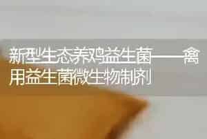 新型生态养鸡益生菌——禽用益生菌微生物制剂