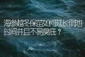 海参越冬保苗如何延长倒池时间并且不易臭底?