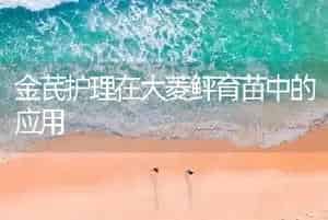 金芪护理在大菱鲆育苗中的应用