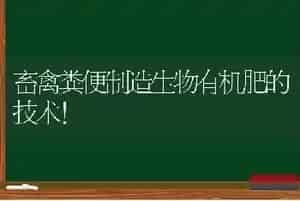 畜禽粪便制造生物有机肥的技术！