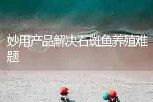 妙用产品解决石斑鱼养殖难题