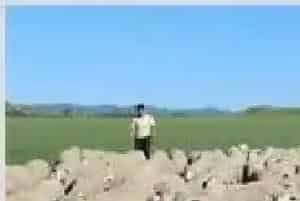 肉羊卫生免疫与疾病防治