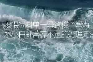 投喂饲料单一导致梭子蟹海水小白虾营养不足的处理方法