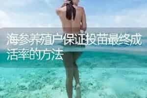 海参养殖户保证投苗最终成活率的方法
