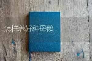 怎样养好种母鹅