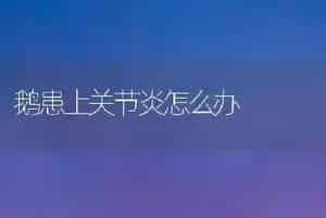 鹅患上关节炎怎么办