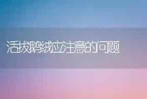 活拔鹅绒应注意的问题