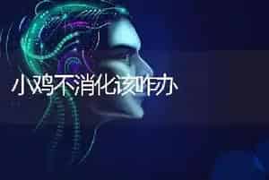 小鸡不消化该咋办