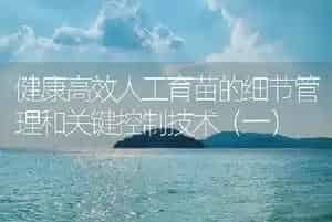 健康高效人工育苗的细节管理和关键控制技术(一)
