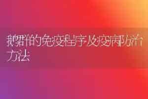 鹅群的免疫程序及疫病防治方法