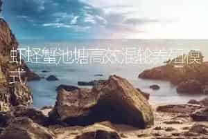 虾蛏蟹池塘高效混轮养殖模式