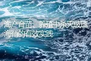 海产育苗、养殖中杀灭玻璃海鞘的有效实践