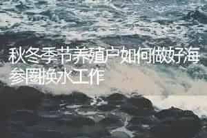 秋冬季节养殖户如何做好海参圈换水工作