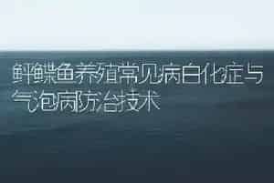 鲆鲽鱼养殖常见病白化症与气泡病防治技术