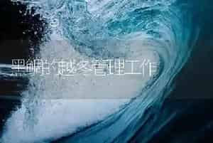 黑鲷的越冬管理工作