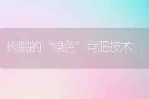 肉鹅的“绿色”育肥技术