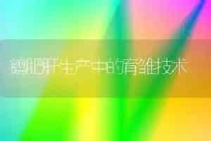 鹅肥肝生产中的育雏技术
