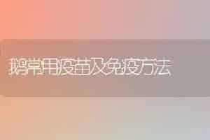 鹅常用疫苗及免疫方法