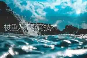 梭鱼人工繁育技术