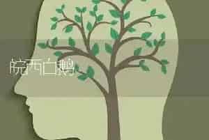 皖西白鹅