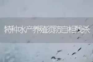 特种水产养殖须防自相残杀