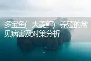 多宝鱼(大菱鲆)养殖的常见病害及对策分析
