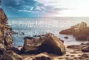海参养殖幼参培育及养成阶段霉菌病防治方法