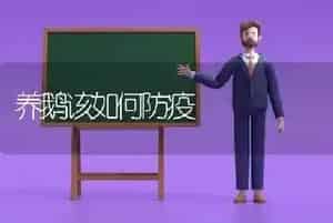 养鹅该如何防疫