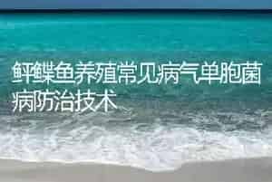 鲆鲽鱼养殖常见病气单胞菌病防治技术