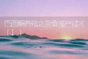 巴西鲷养殖之亲鱼催产技术(1)