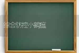 综合防控小鹅瘟