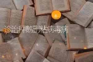 诊治种鹅副粘病毒病