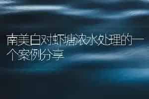南美白对虾塘浓水处理的一个案例分享