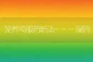 笼养鸡服药新法---溜药