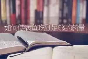 如何使病鱼吃到足够的药量