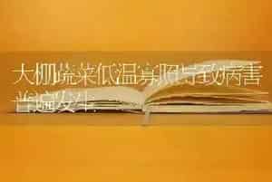 鹅鸭拔毛后咋饲管